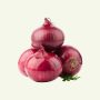 Shallot Red onion